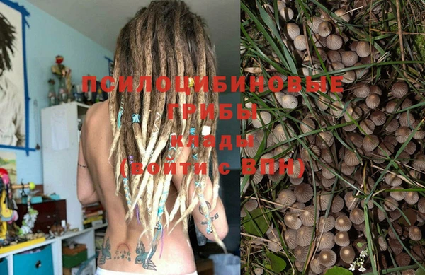 бошки Михайлов